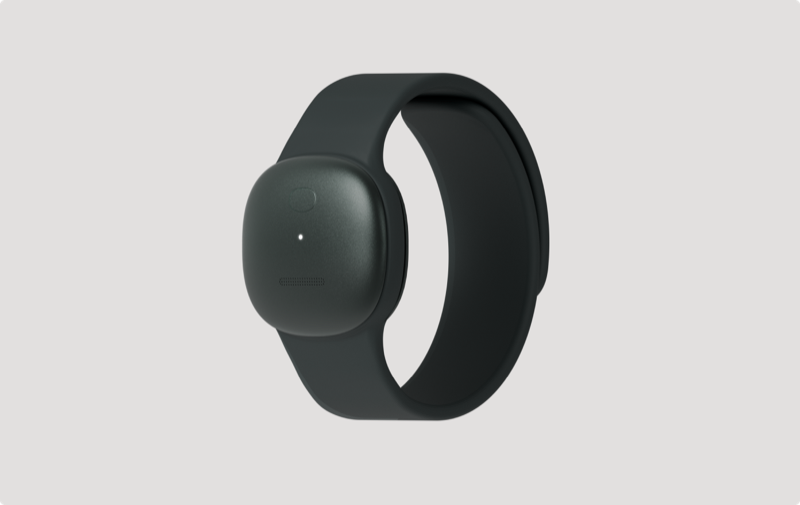 watchband